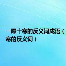 一曝十寒的反义词成语(一曝十寒的反义词)