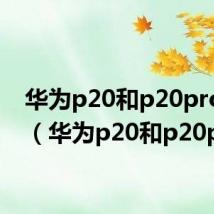 华为p20和p20pro区别（华为p20和p20pro）