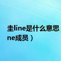 圭line是什么意思(圭line成员)