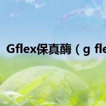 Gflex保真酶(g flex)