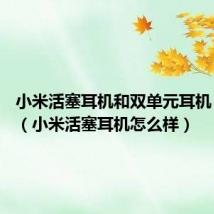 小米活塞耳机和双单元耳机 哪个好(小米活塞耳机怎么样)