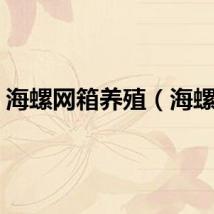 海螺网箱养殖（海螺网）
