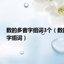 数的多音字组词3个(数的多音字组词)