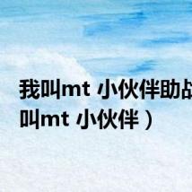 我叫mt 小伙伴助战(我叫mt 小伙伴)