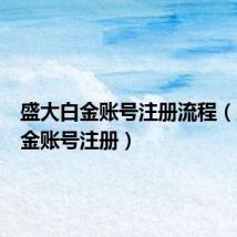 盛大白金账号注册流程(盛大白金账号注册)