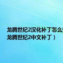 龙腾世纪2汉化补丁怎么安装(龙腾世纪2中文补丁)