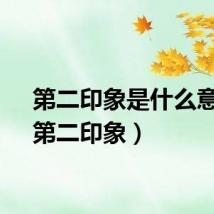 第二印象是什么意思(第二印象)