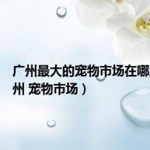 广州最大的宠物市场在哪里(广州 宠物市场)