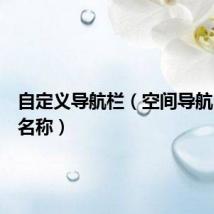 自定义导航栏(空间导航自定义名称)