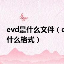 evd是什么文件(evd是什么格式)