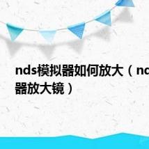 nds模拟器如何放大(nds模拟器放大镜)