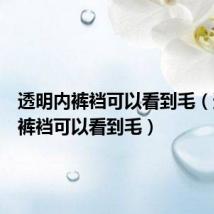 透明内裤裆可以看到毛(透明内裤裆可以看到毛)