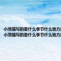 小池描写的是什么季节什么地方的景色（小池描写的是什么季节什么地方的景色）