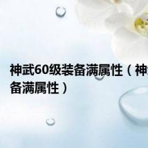 神武60级装备满属性(神武60装备满属性)