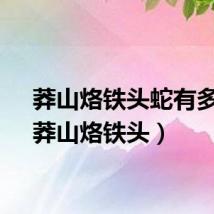 莽山烙铁头蛇有多毒（莽山烙铁头）