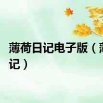 薄荷日记电子版（薄荷日记）