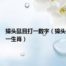 獐头鼠目打一数字（獐头鼠目打一生肖）