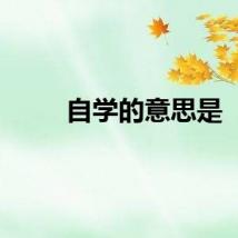 自学的意思是