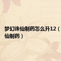 梦幻诛仙制药怎么升12（梦幻诛仙制药）