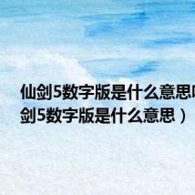 仙剑5数字版是什么意思呀（仙剑5数字版是什么意思）
