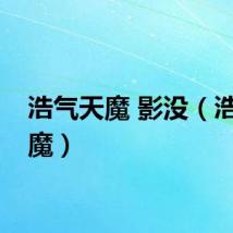 浩气天魔 影没（浩气天魔）