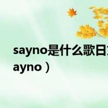 sayno是什么歌日文(sayno)