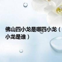 佛山四小龙是哪四小龙（佛山四小龙是谁）