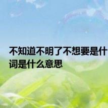 不知道不明了不想要是什么歌歌词是什么意思