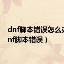 dnf脚本错误怎么办(dnf脚本错误)