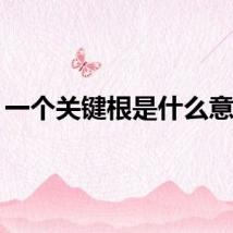 一个关键根是什么意思？