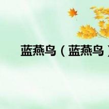 蓝燕鸟（蓝燕鸟）