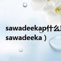 sawadeekap什么意思（sawadeeka）