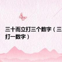 三十而立打三个数字（三十而立打一数字）