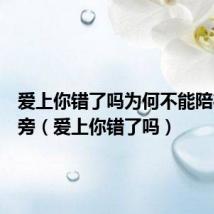 爱上你错了吗为何不能陪在你身旁（爱上你错了吗）