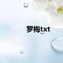 罗梅txt