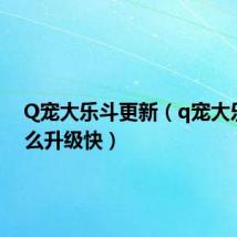 Q宠大乐斗更新（q宠大乐斗怎么升级快）