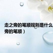 走之旁的笔顺规则是什么(走之旁的笔顺)
