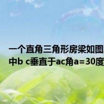 一个直角三角形房梁如图所示其中b c垂直于ac角a=30度