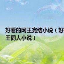 好看的网王完结小说（好看的网王同人小说）
