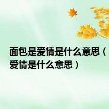面包是爱情是什么意思（面包和爱情是什么意思）