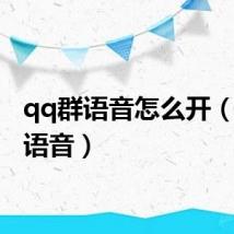 qq群语音怎么开（qq群语音）