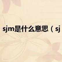 sjm是什么意思（sj m）