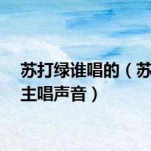 苏打绿谁唱的（苏打绿主唱声音）