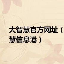 大智慧官方网址（大智慧信息港）
