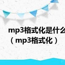 mp3格式化是什么意思（mp3格式化）