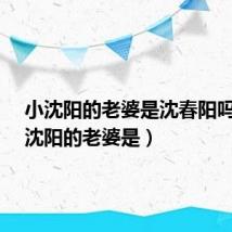 小沈阳的老婆是沈春阳吗?(小沈阳的老婆是)