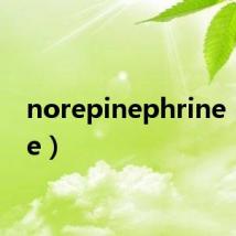 norepinephrine(nore)