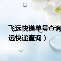 飞远快递单号查询（飞远快递查询）