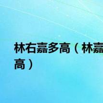 林右嘉多高（林嘉绮身高）