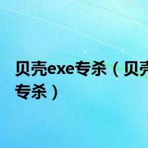 贝壳exe专杀(贝壳木马专杀)